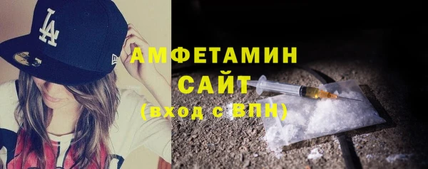 гидра Надым