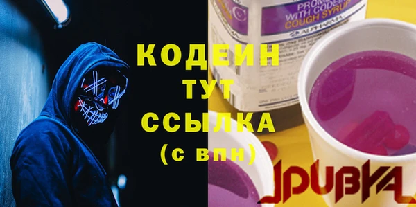 гидра Надым