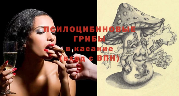 гидра Надым
