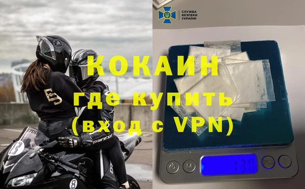 гидра Надым