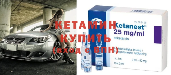 гидра Надым