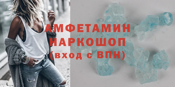 гидра Надым