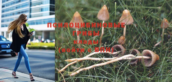 марки nbome Наволоки