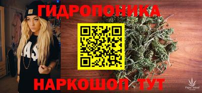 стаф Будённовск