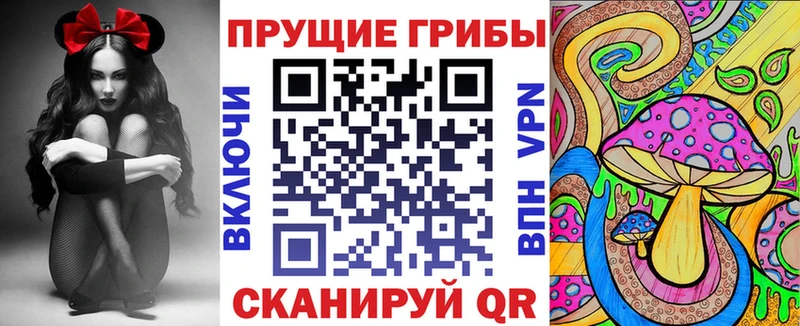 OMG сайт  Краснокамск  Галлюциногенные грибы MAGIC MUSHROOMS  где купить  
